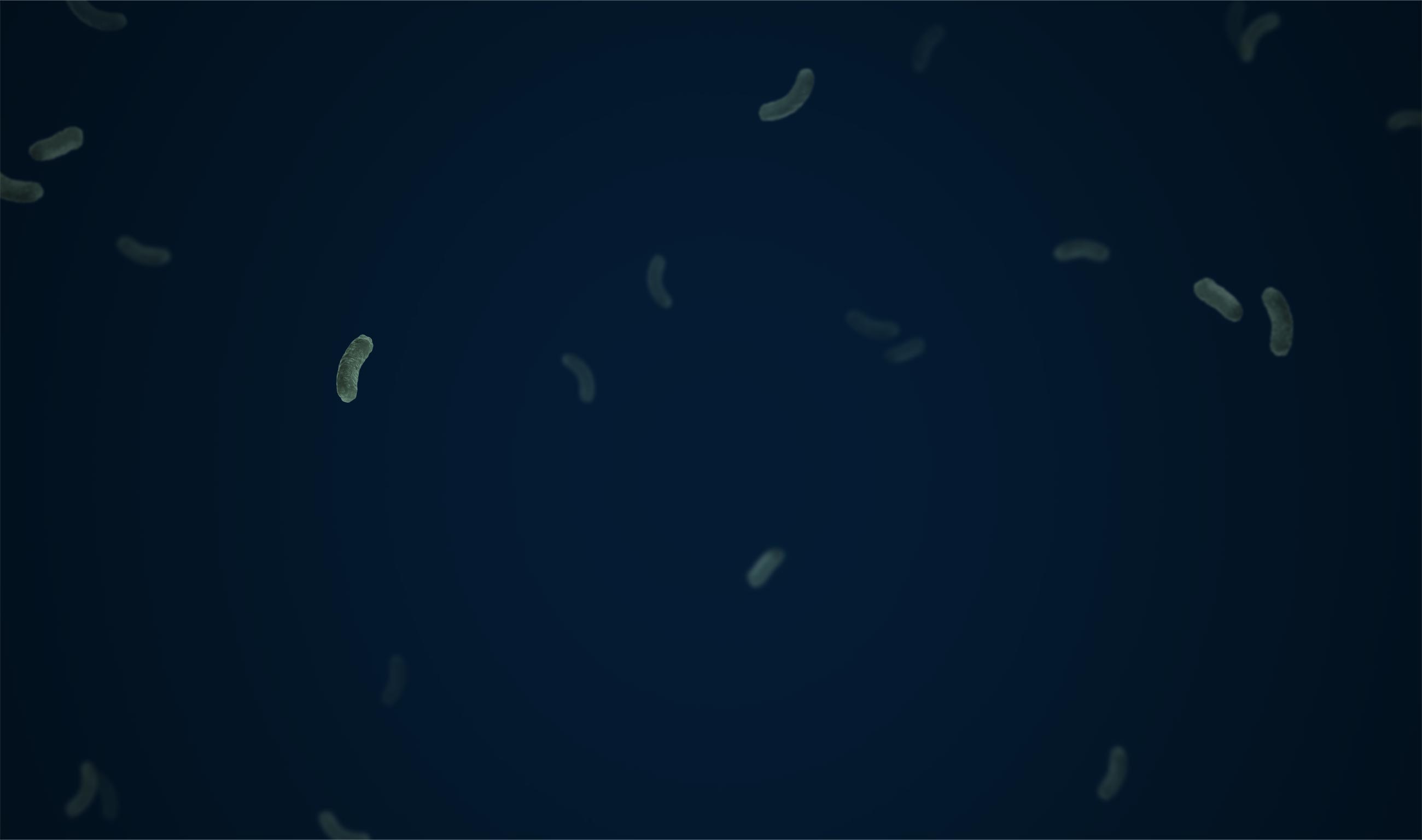 Main Banner