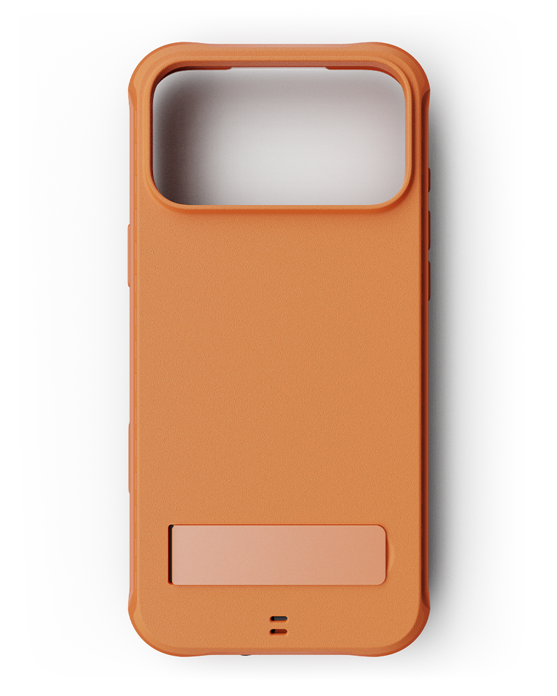 Temperature-Regulating Case