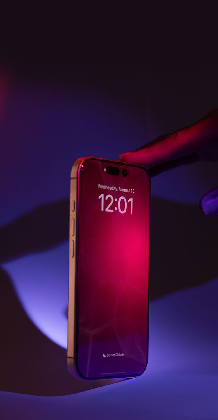 Banner image