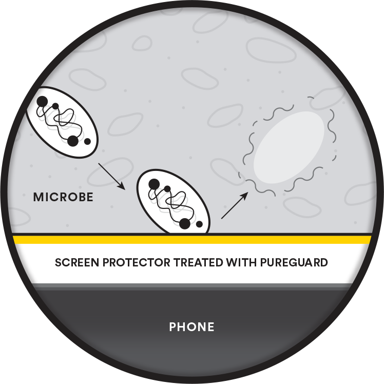 Image showing PureGuard's functionality.