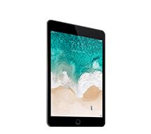 iPad Pro 12.9 (2Gen)