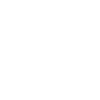 Advantage Program Icon